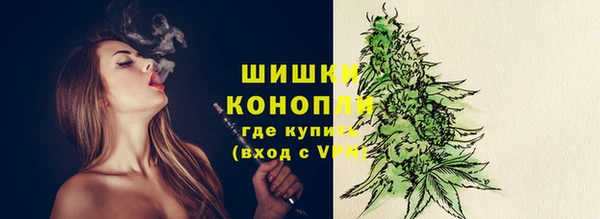apvp Карпинск